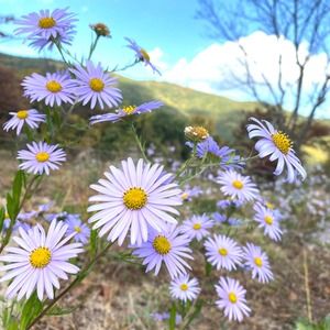 Meet your Posher, Eunjoo